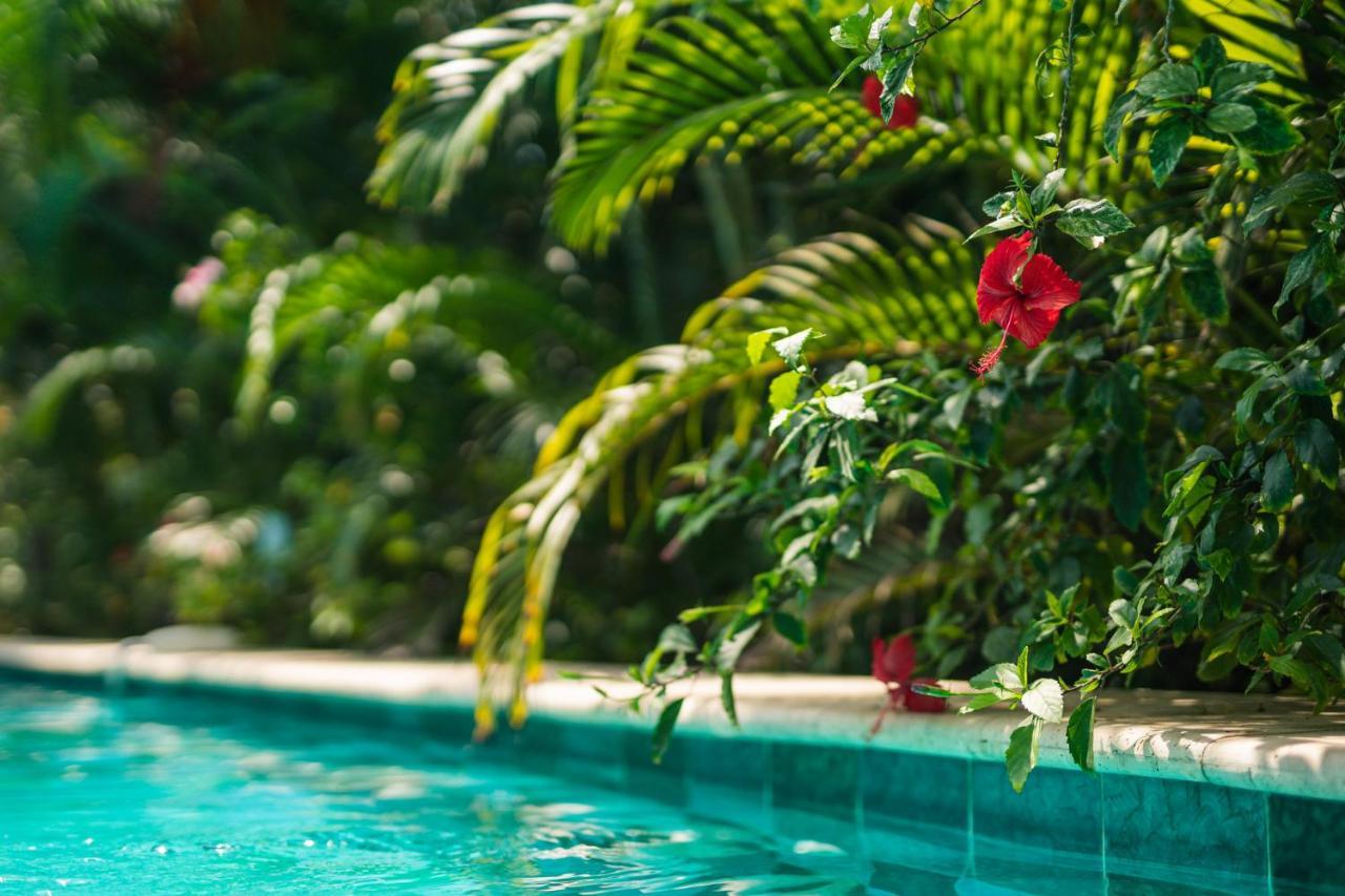 Hotel Masaya Collection Cayena Guachaca Zewnętrze zdjęcie